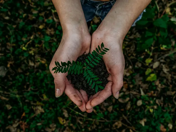 A pair of cupped hands holding dark earth and a green fern frond